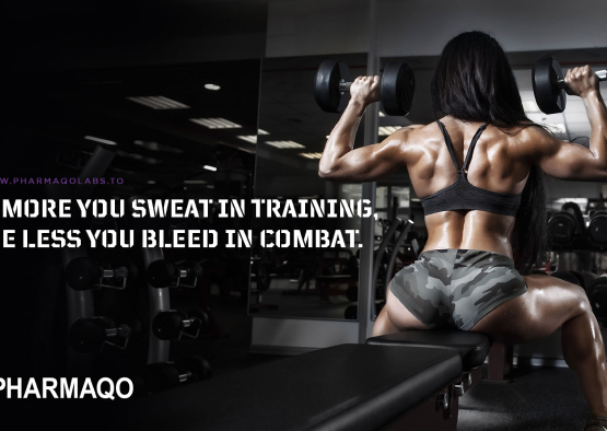 Pharmaqo labs Experience